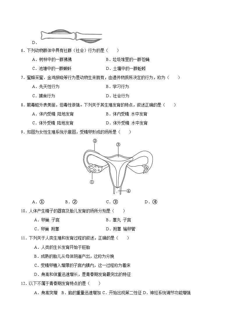 八年级生物期中模拟卷（考试版A4）（北京版）第2页