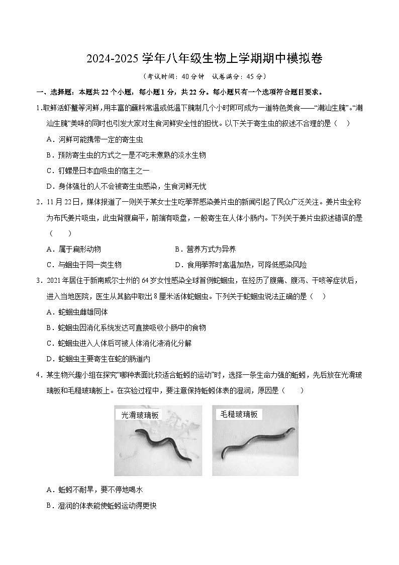 八年级生物期中模拟卷（考试版A4）（深圳专用）第1页