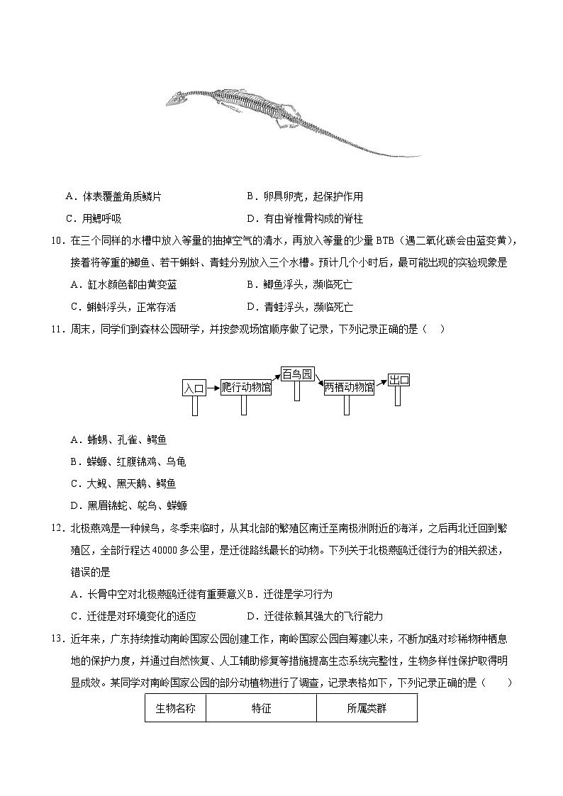 八年级生物期中模拟卷（考试版A4）（深圳专用）第3页