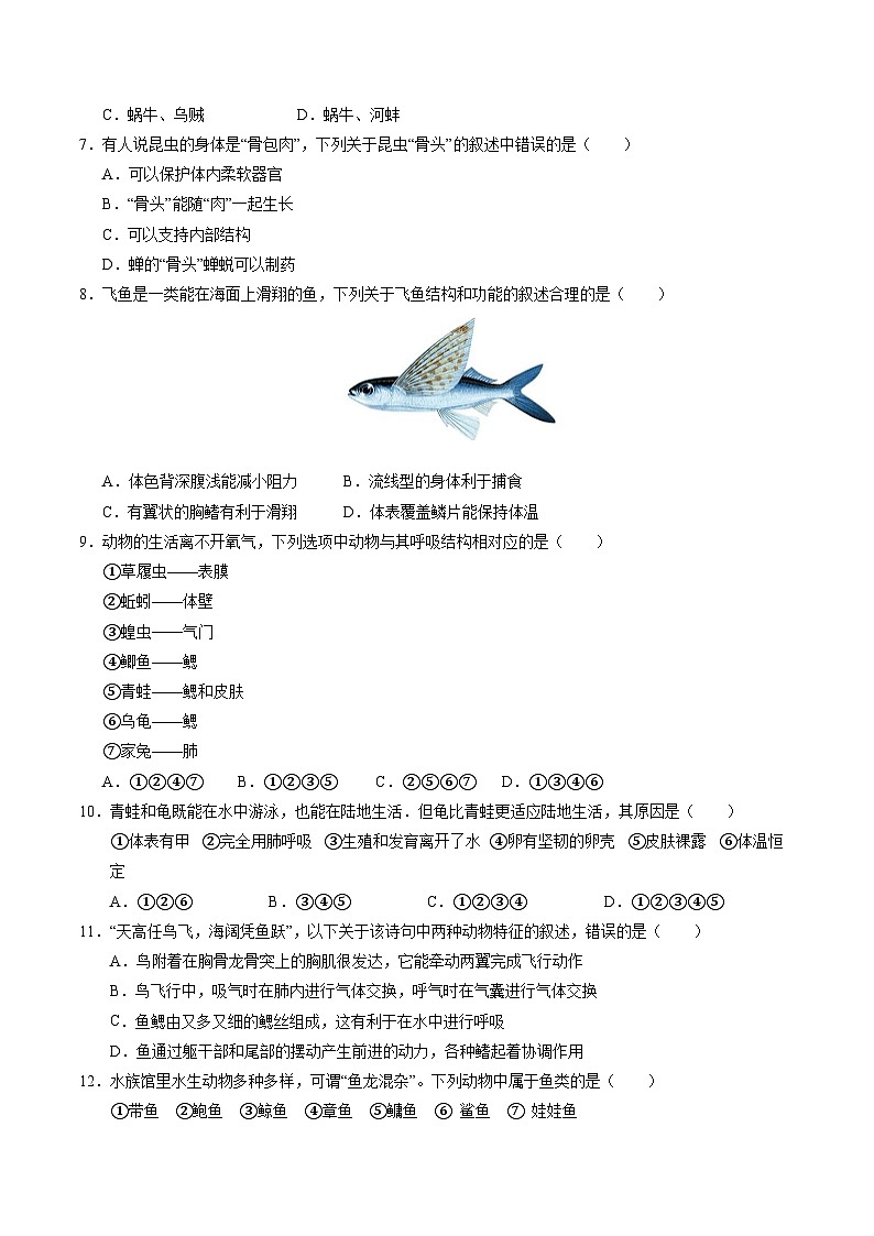 八年级生物期中模拟卷（考试版A4）（湖南专用）第2页