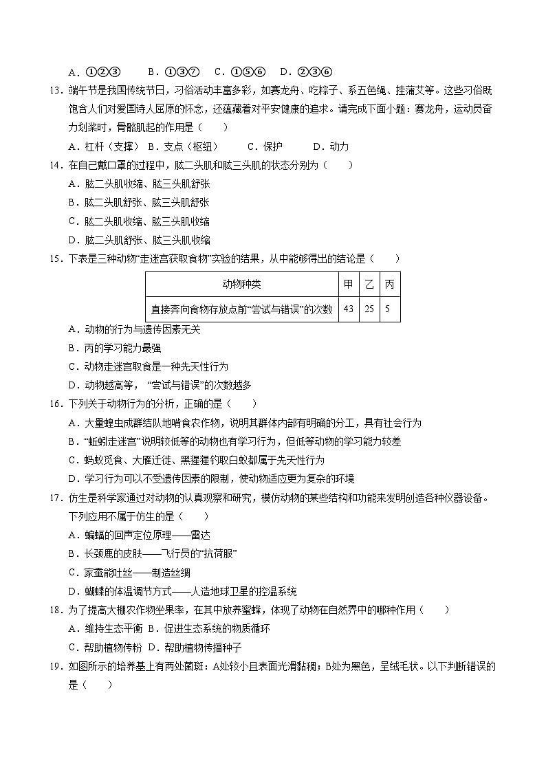 八年级生物期中模拟卷（考试版A4）（湖南专用）第3页