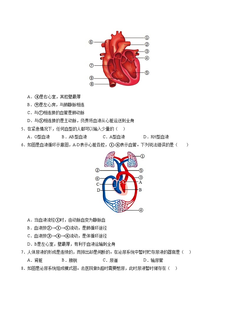 八年级生物期中模拟卷（考试版A4）（苏科版）第2页