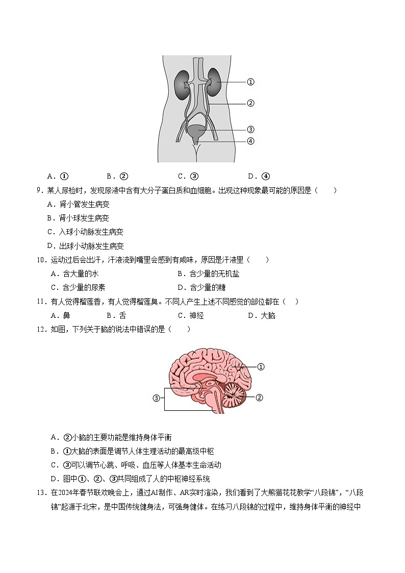 八年级生物期中模拟卷（考试版A4）（苏科版）第3页