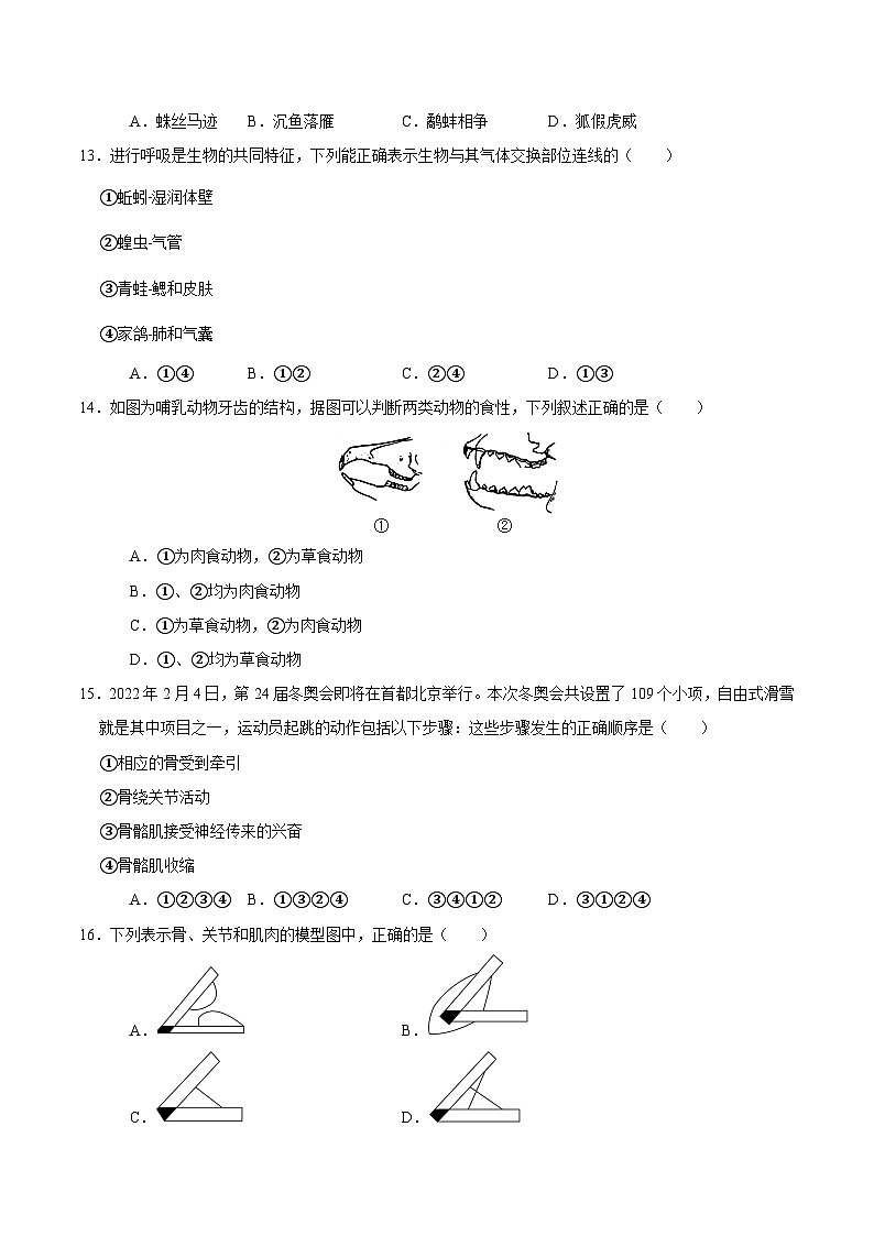 八年级生物期中模拟卷（考试版A4）（长沙专用）第3页