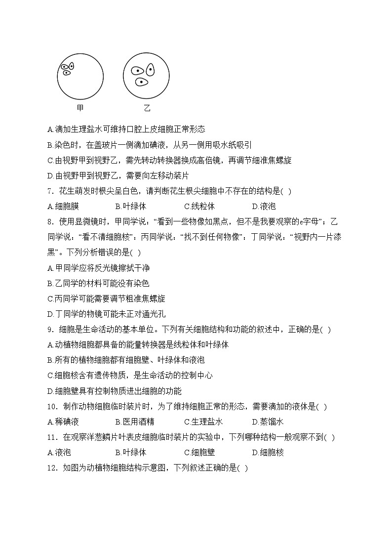 河北省沧州市东光县五校联考2024-2025学年七年级上学期10月月考生物试卷(含答案)第2页