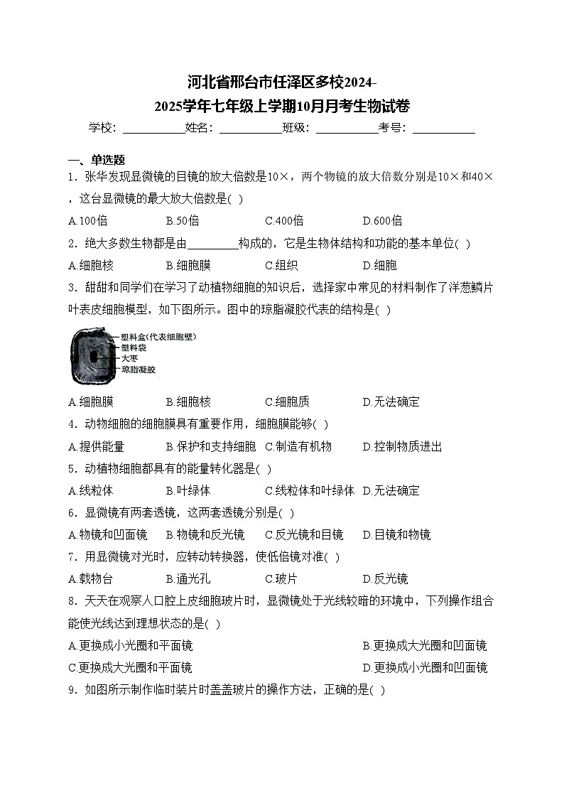 河北省邢台市任泽区多校2024-2025学年七年级上学期10月月考生物试卷(含答案)第1页