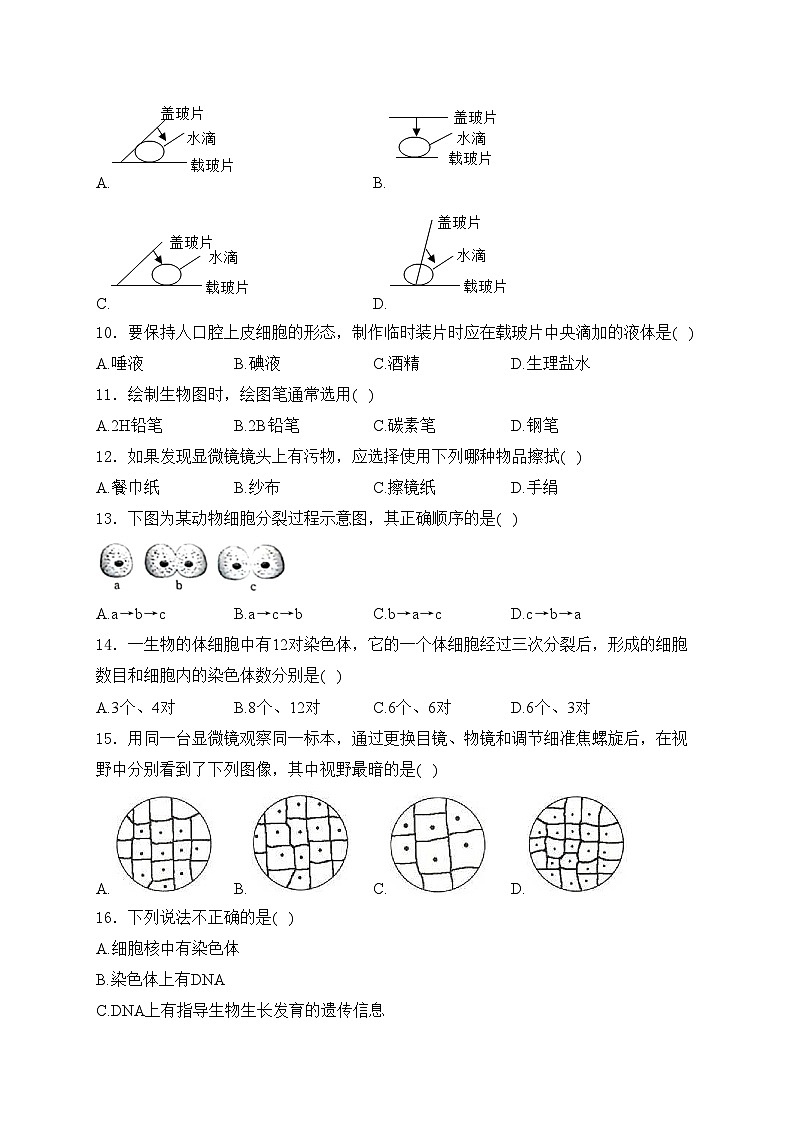 河北省邢台市任泽区多校2024-2025学年七年级上学期10月月考生物试卷(含答案)第2页