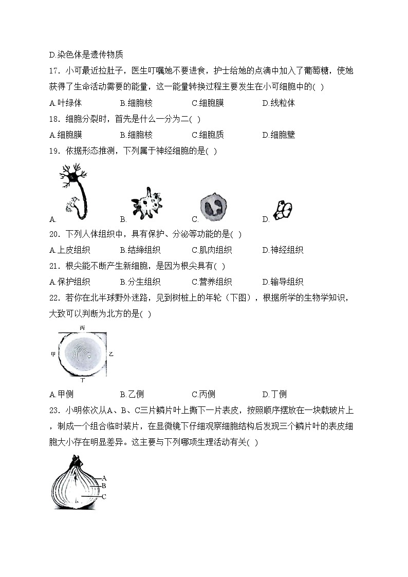 河北省邢台市任泽区多校2024-2025学年七年级上学期10月月考生物试卷(含答案)第3页