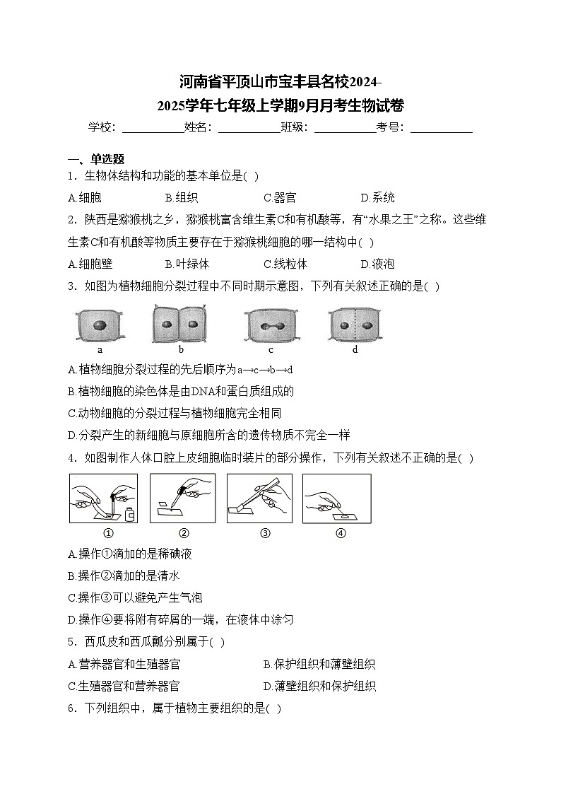 河南省平顶山市宝丰县名校2024-2025学年七年级上学期9月月考生物试卷(含答案)第1页