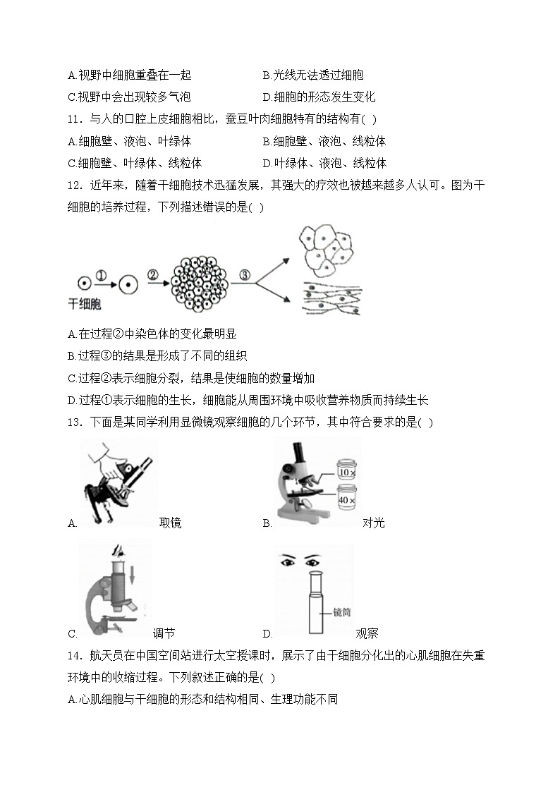 河南省平顶山市宝丰县名校2024-2025学年七年级上学期9月月考生物试卷(含答案)第3页