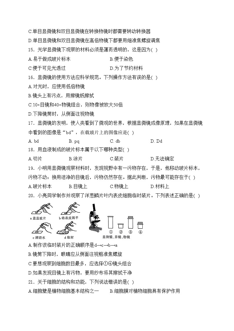 咸阳市实验中学2024-2025学年七年级上学期阶段性检测（一）生物试卷(含答案)第3页