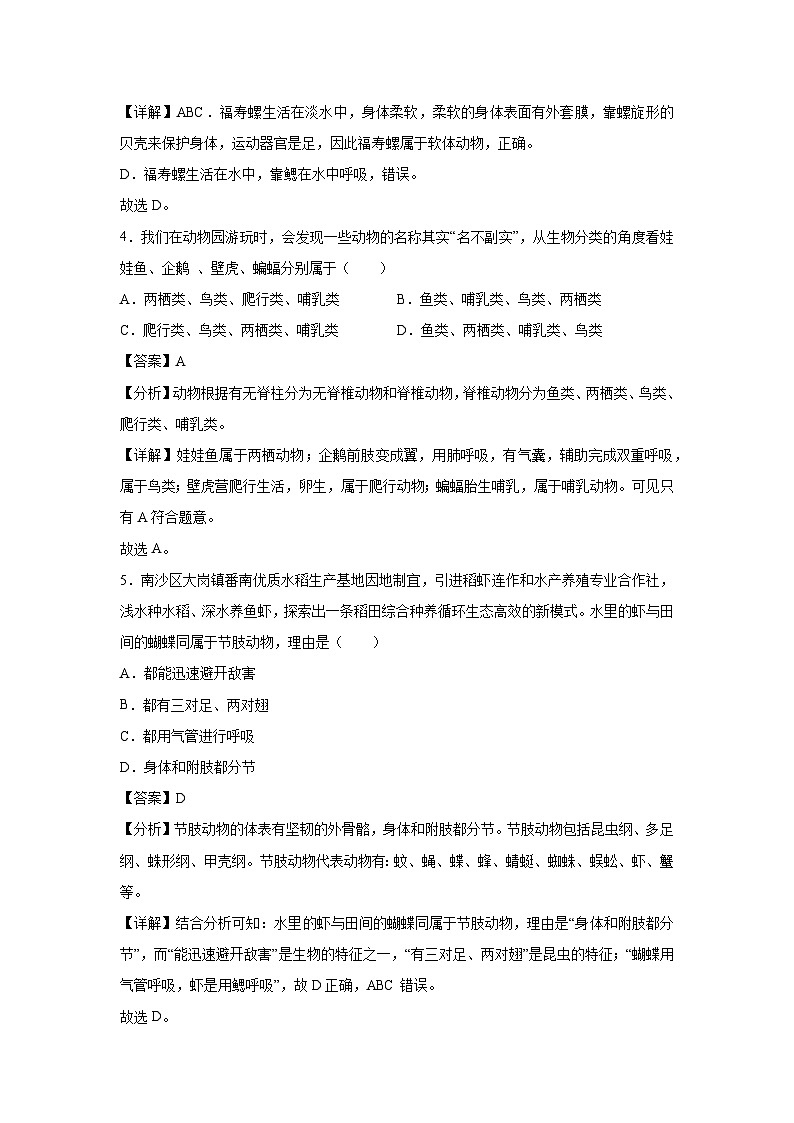 八年级上学期期中生物模拟卷（解析版）（广州专用）第3页