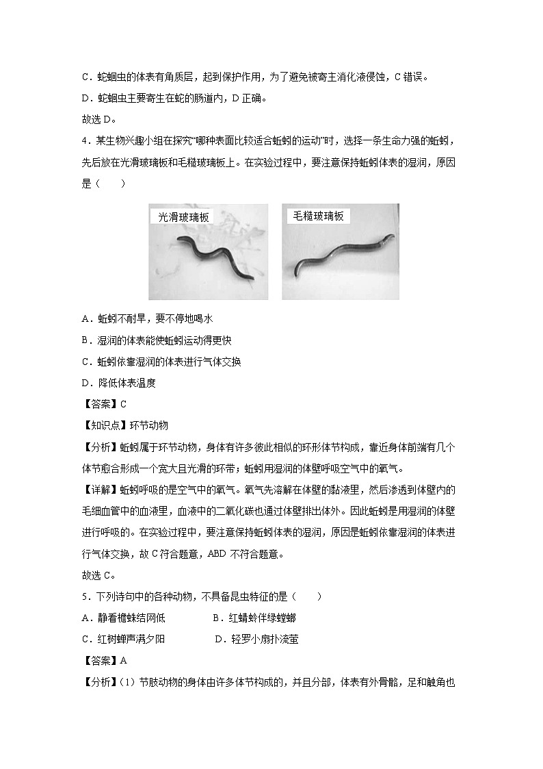 八年级上学期期中生物模拟卷（解析版）（深圳专用）第3页