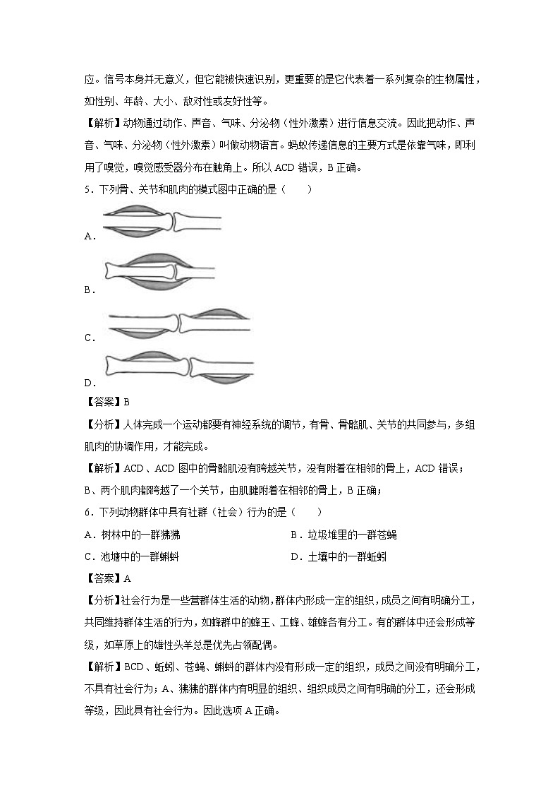 八年级上学期期中生物模拟卷（解析版）（北京版）第3页