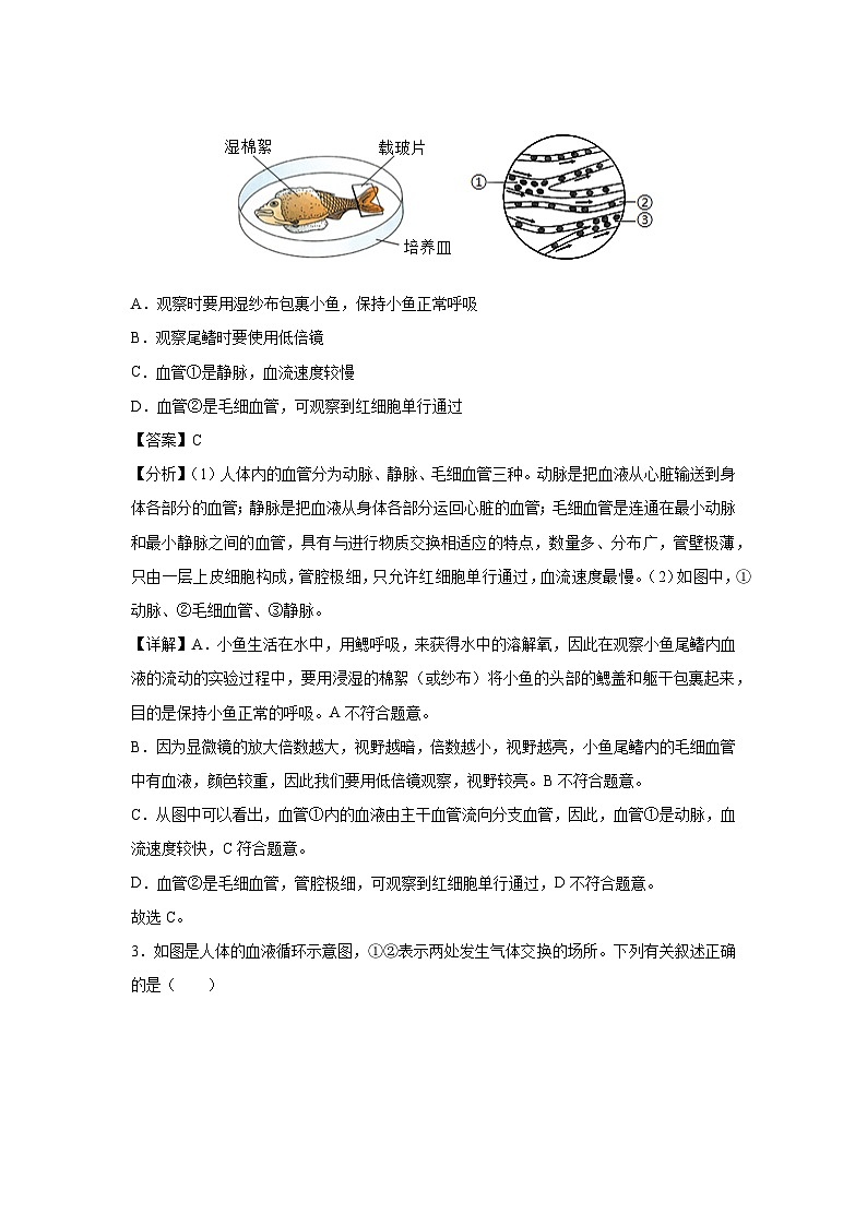 八年级上学期期中模拟卷（解析版）（江苏生物专用，苏科版）第2页