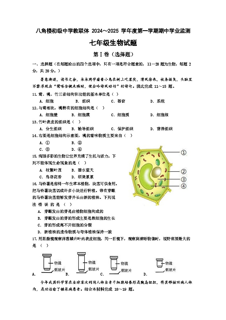 八角楼初级中学教联体2024～2025学年度第一学期期中学业监测七年级生物试题及答题卡第1页
