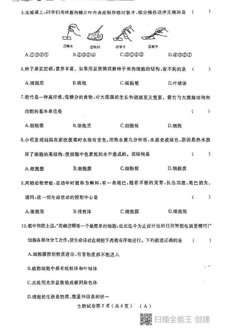 生物初一上学期期中考试第2页