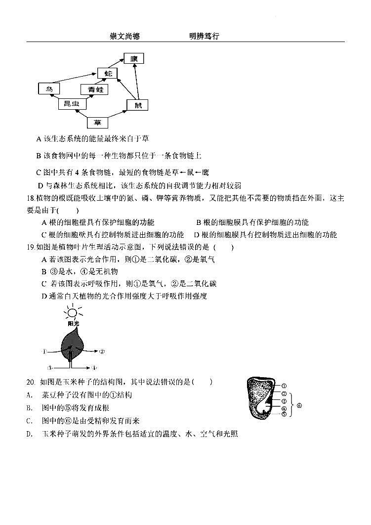 2024年哈尔滨市萧红中学八年级（上）期中学情测试生物试题及答案10.30第3页