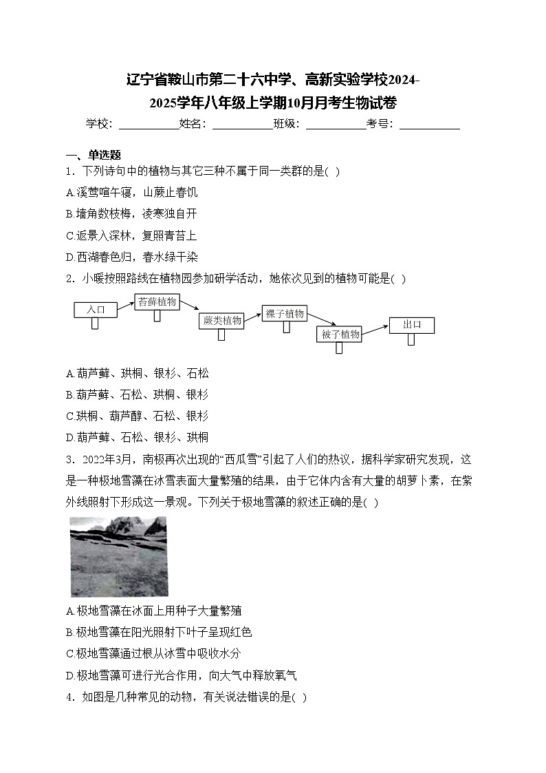 辽宁省鞍山市第二十六中学、高新实验学校2024-2025学年八年级上学期10月月考生物试卷(含答案)第1页