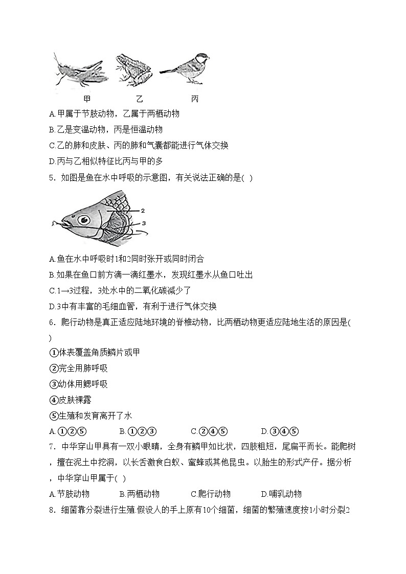 辽宁省鞍山市第二十六中学、高新实验学校2024-2025学年八年级上学期10月月考生物试卷(含答案)第2页