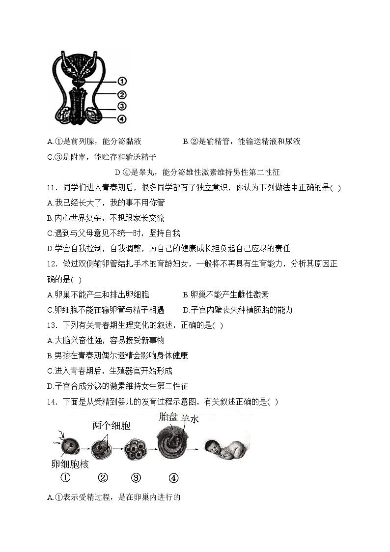 山东省东营市利津县2024-2025学年七年级上学期月考生物试卷(含答案)第3页