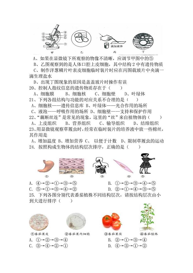 新疆巴音郭楞蒙古自治州和静县第三中学2024-2025学年七年级上学期10月期中生物试题第3页