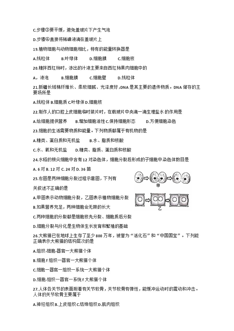 陕西省咸阳市三原县2022-2023学年七年级上学期期中生物试题03