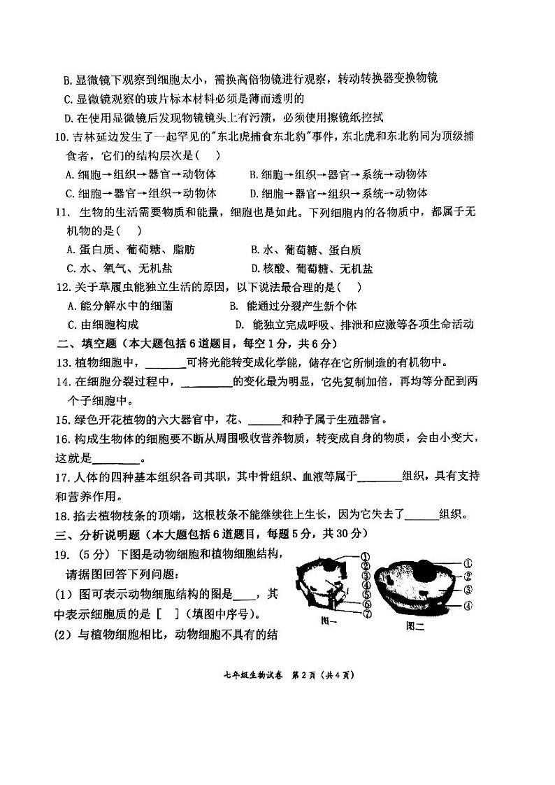 甘肃省定西市安定区城区联考2024-2025学年七年级上学期10月期中生物试题02