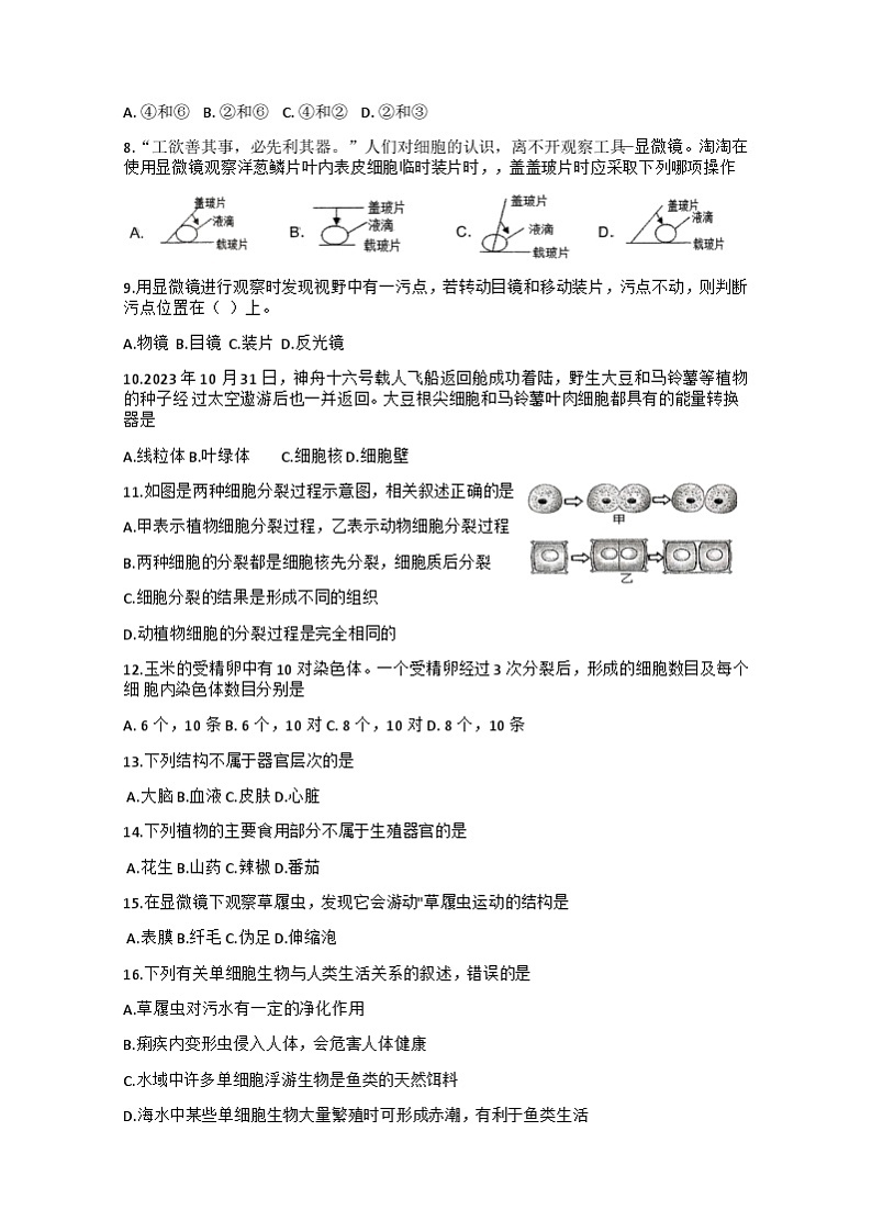 甘肃省定西市临洮县2024-2025学年七年级上学期10月期中生物试题02
