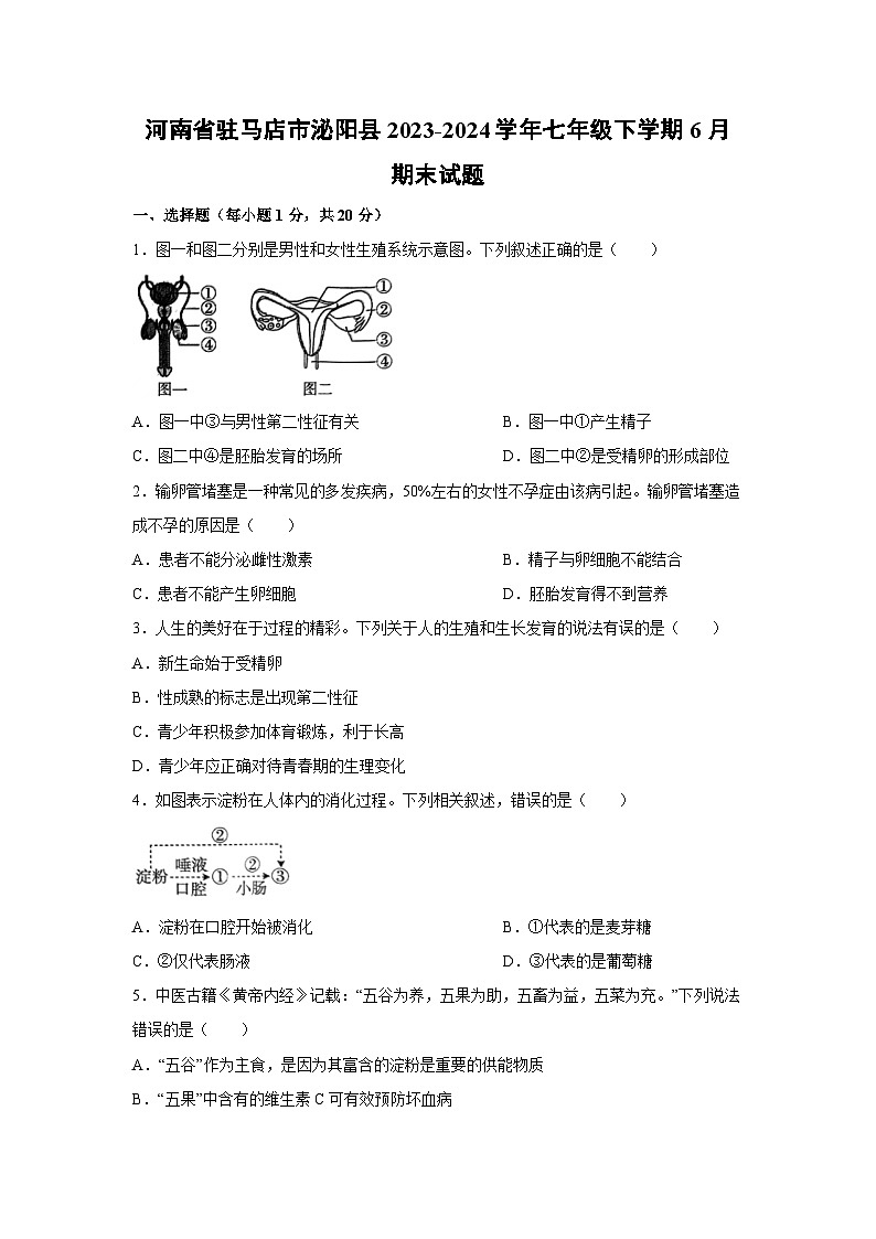 河南省驻马店市泌阳县2023-2024学年七年级下学期6月期末生物试卷第1页