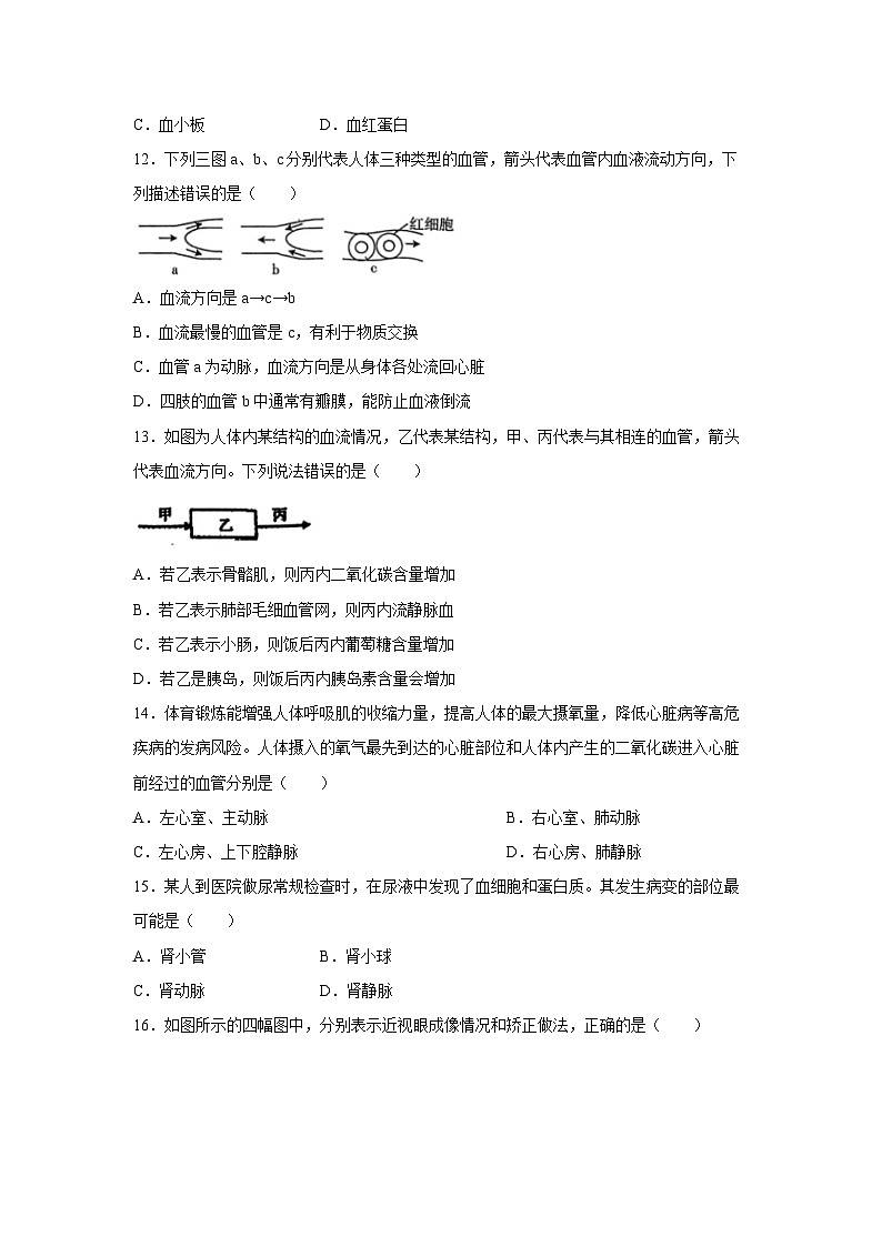 河南省驻马店市泌阳县2023-2024学年七年级下学期6月期末生物试卷第3页