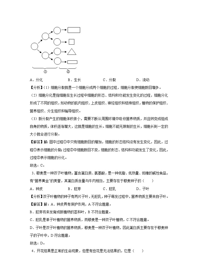 2024年中考临考定心模拟卷二（吉林省卷）（解析卷）生物试卷第2页