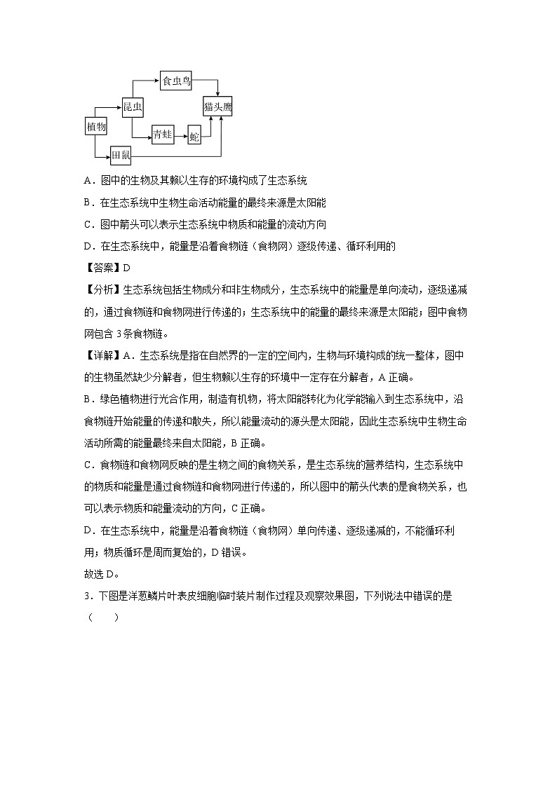 卷05-2024年中考生物考前冲刺模拟卷（安徽卷）生物试卷（解析版）第2页