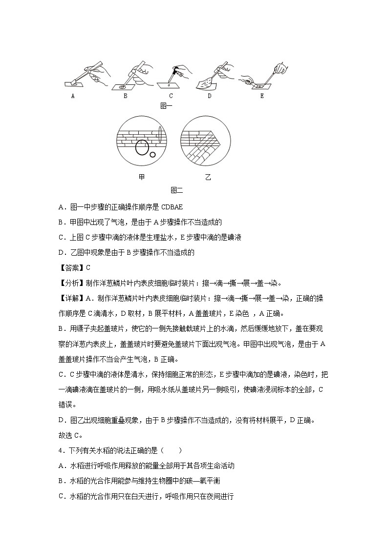 卷05-2024年中考生物考前冲刺模拟卷（安徽卷）生物试卷（解析版）第3页
