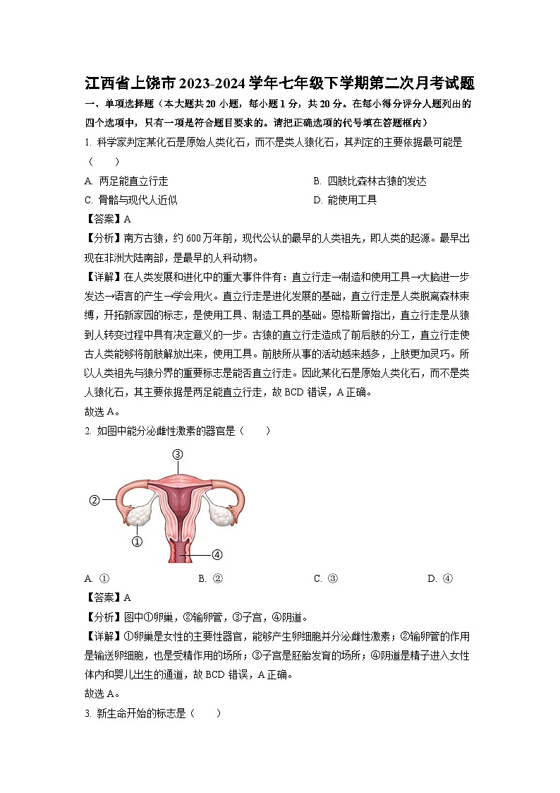 江西省上饶市2023-2024学年七年级下学期第二次月考生物试卷（解析版）第1页