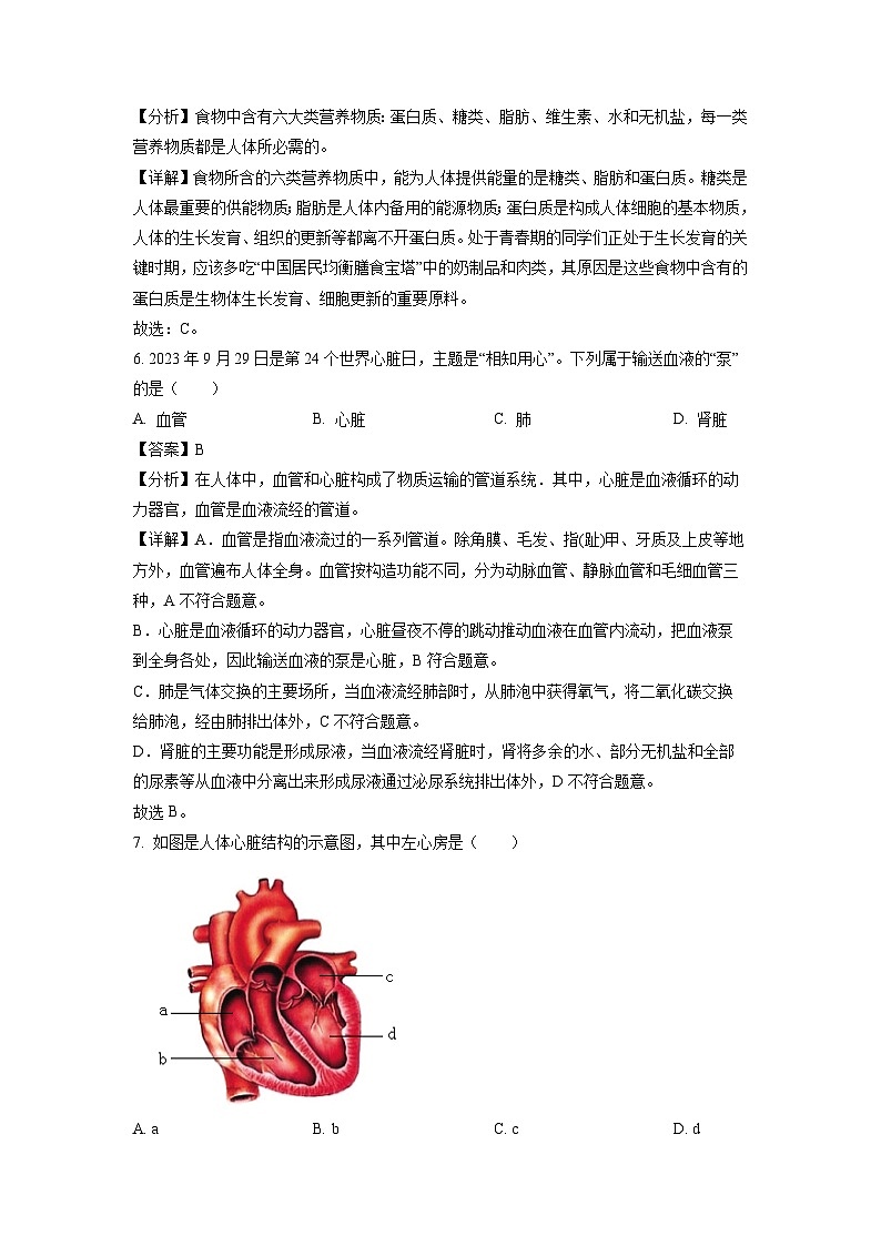 江西省上饶市2023-2024学年七年级下学期第二次月考生物试卷（解析版）第3页