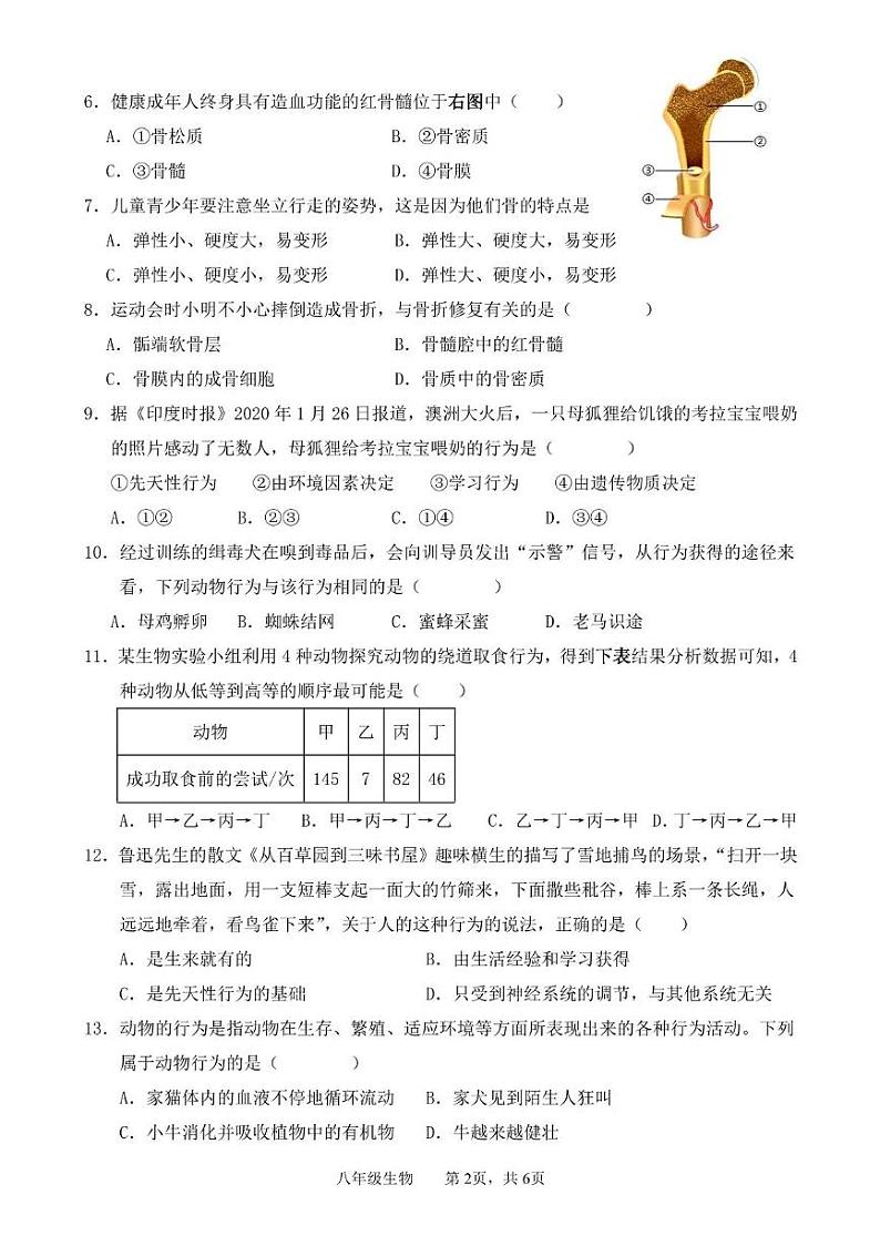 广东省韶关市新丰县2024-2025学年八年级上学期期中考试生物试题第2页