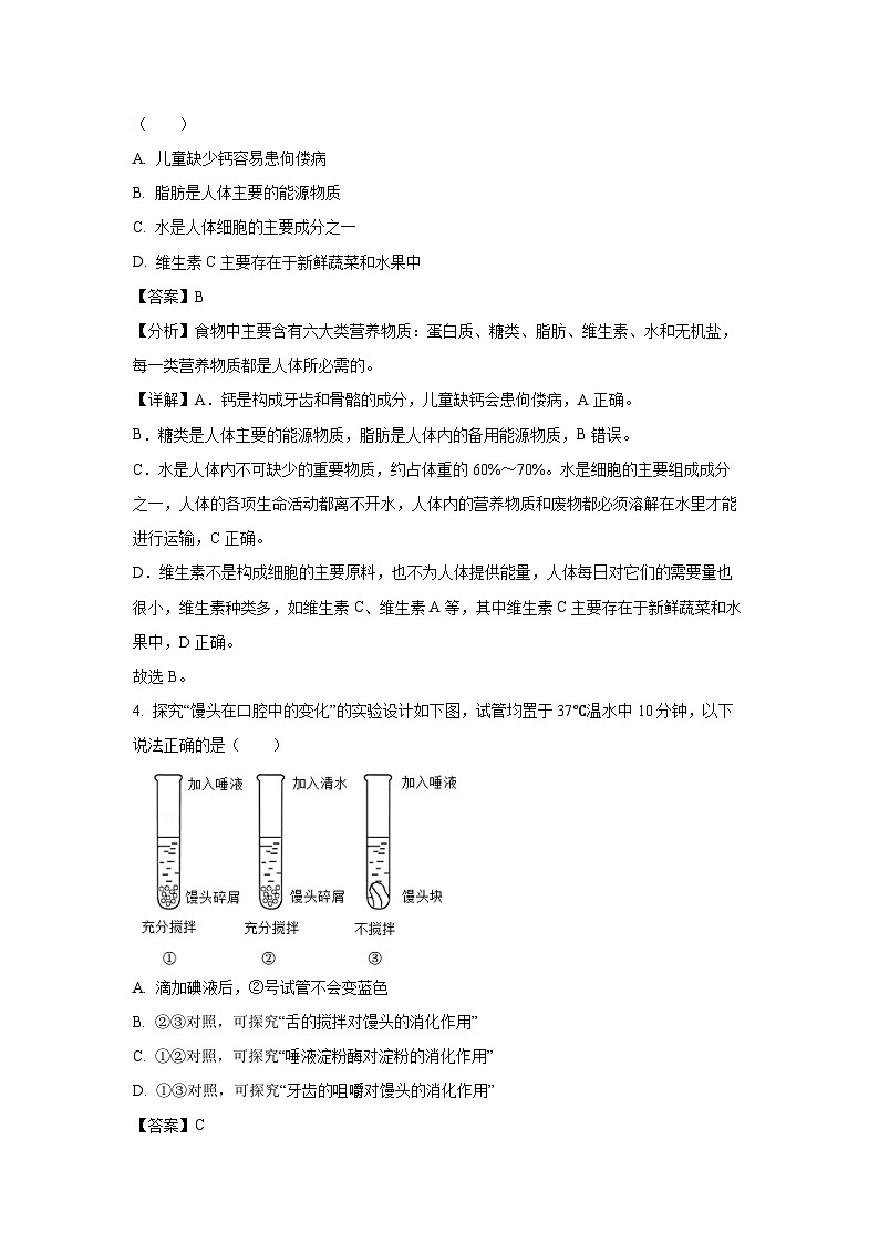 广东省韶关市乳源县2023-2024学年七年级下学期期中生物试卷(解析版)第3页