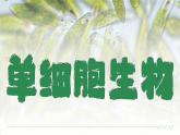 人教版七年级生物上册1.3.4《单细胞生物》课件