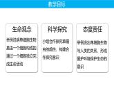 人教版七年级生物上册1.3.4《单细胞生物》课件