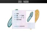 人教版七年级生物上册1.3.4《单细胞生物》课件