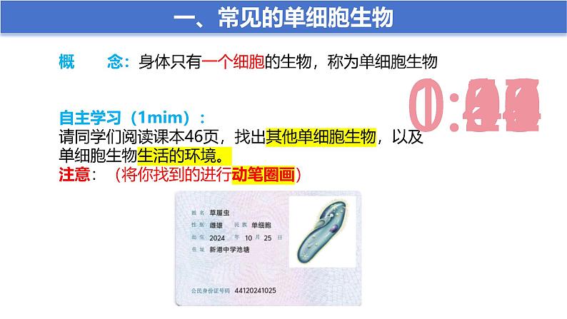 人教版七年级生物上册1.3.4《单细胞生物》课件第6页