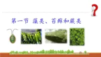 人教版(2024)七年级上册(2024)第二单元 多种多样的生物第一章 植物的类群第一节 藻类、苔藓和蕨类教课课件ppt