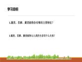 人教版七年级生物上册2.1.1《藻类、苔藓和蕨类》课件