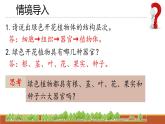 人教版七年级生物上册2.1.1《藻类、苔藓和蕨类》课件