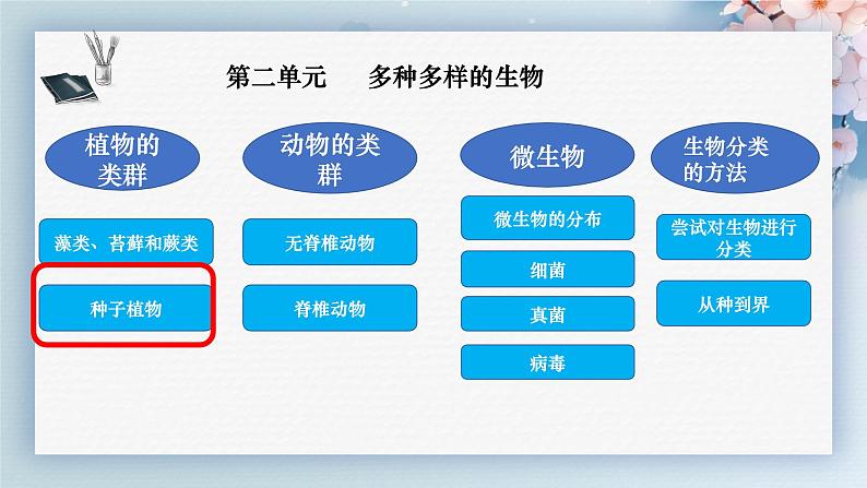 人教版七年级生物上册2.1.2《种子植物》（课件 )第1页