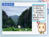 人教版七年级生物上册2.1.2《种子植物》（课件 )