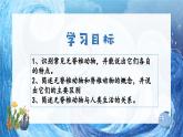人教版七年级生物上册2.2.1《无脊椎动物》(课件)