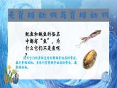 人教版七年级生物上册2.2.1《无脊椎动物》(课件)