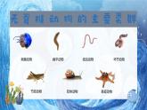 人教版七年级生物上册2.2.1《无脊椎动物》(课件)